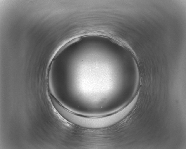 X0000059841532200510241424