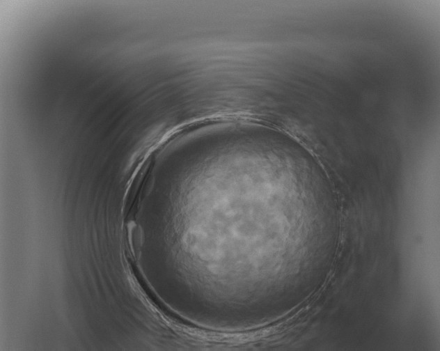 X0000059840002200510281836