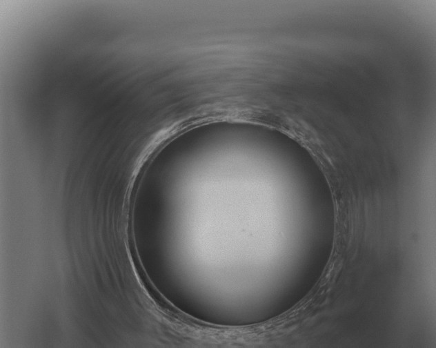 X0000059840003200510281836