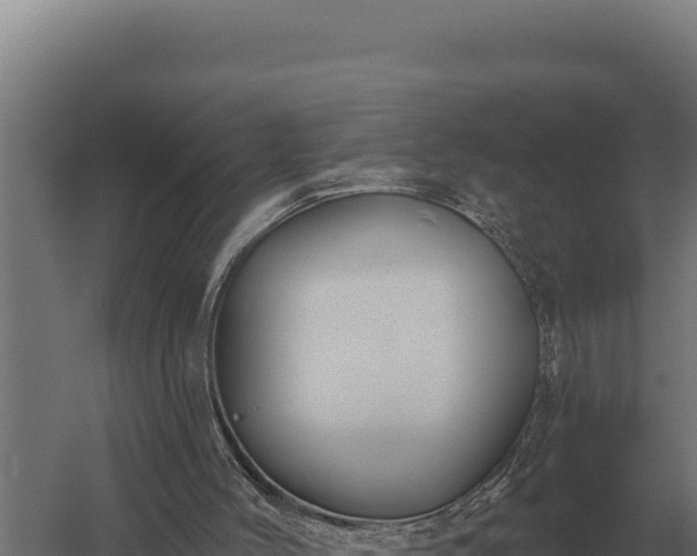 X0000059840004200510281836