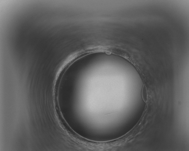 X0000059840006200510281836