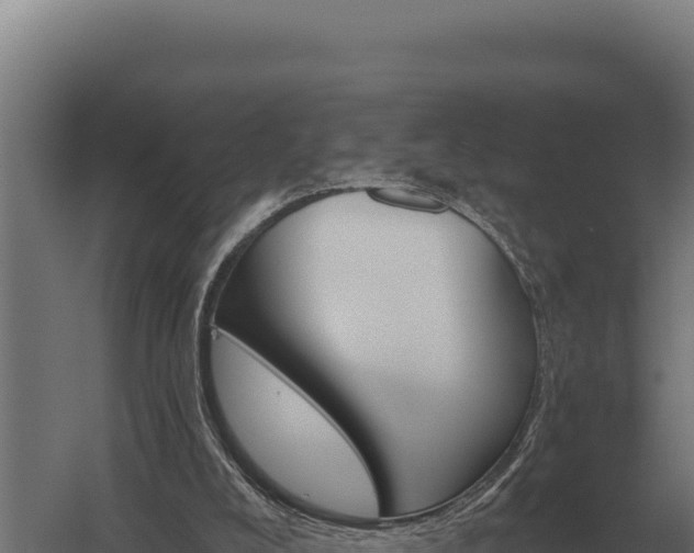 X0000059840008200510281836