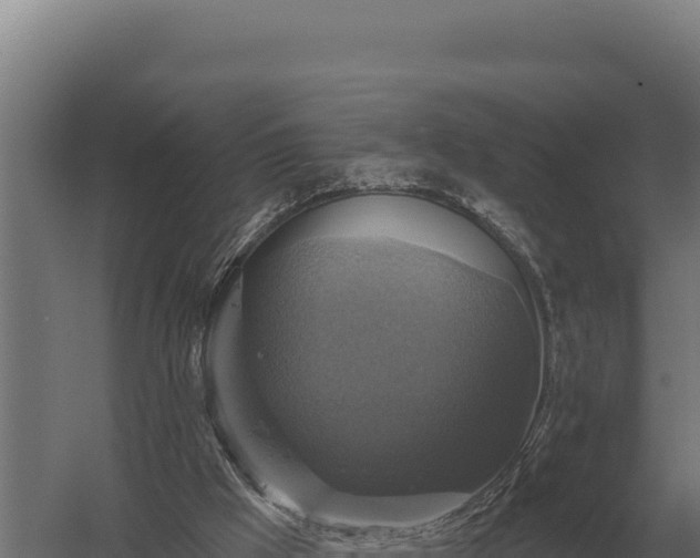 X0000059840009200510281836