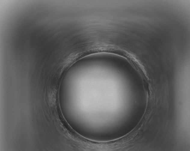 X0000059840010200510281836