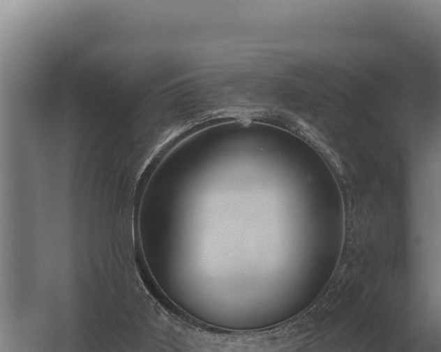 X0000059840011200510281836