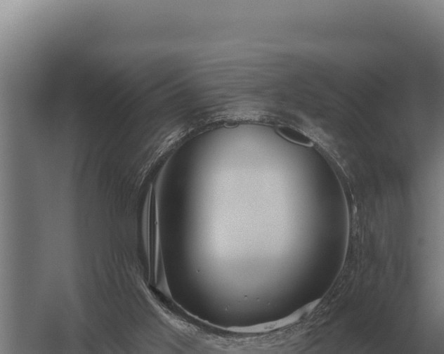 X0000059840013200510281836