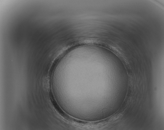 X0000059840016200510281836