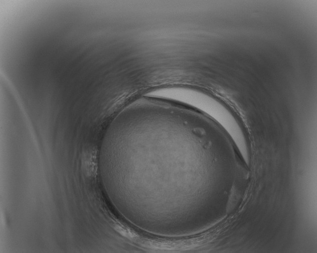 X0000059840017200510281836