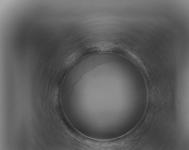 X0000059840018200510281836