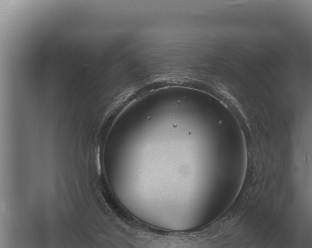 X0000059840020200510281836