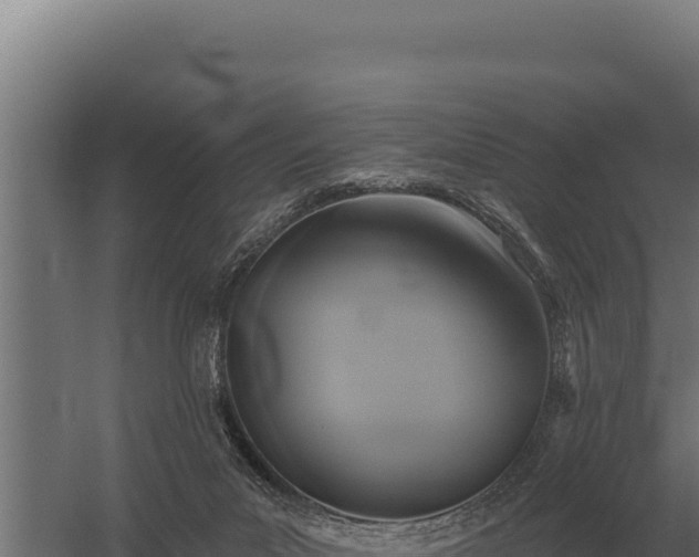 X0000059840023200510281836