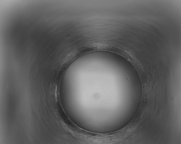 X0000059840024200510281836