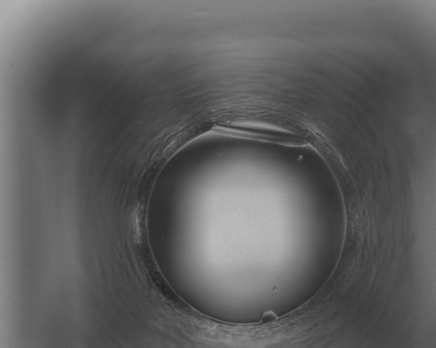 X0000059840026200510281836