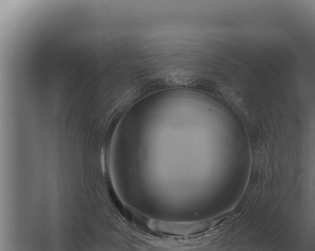 X0000059840027200510281836