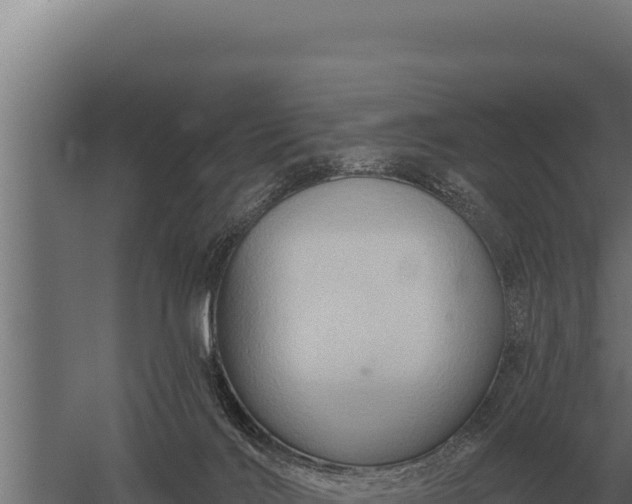 X0000059840028200510281836