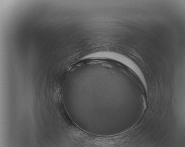 X0000059840029200510281836