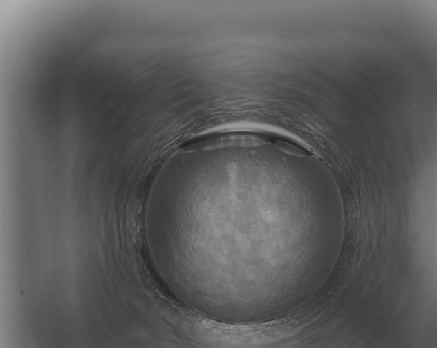 X0000059840030200510281836