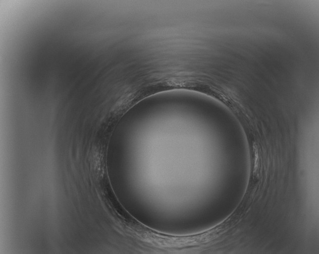 X0000059840031200510281836