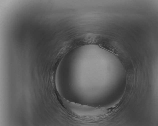 X0000059840035200510281836