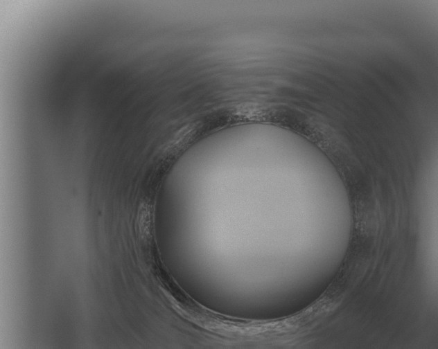 X0000059840036200510281836