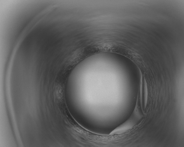 X0000059840037200510281836