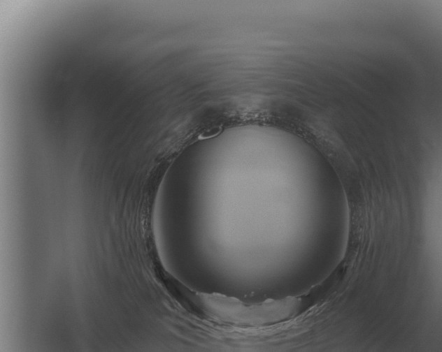 X0000059840039200510281836