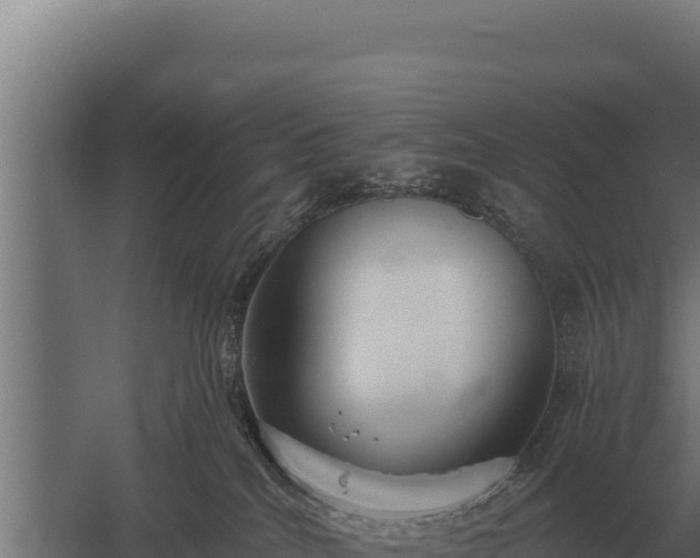 X0000059840040200510281836