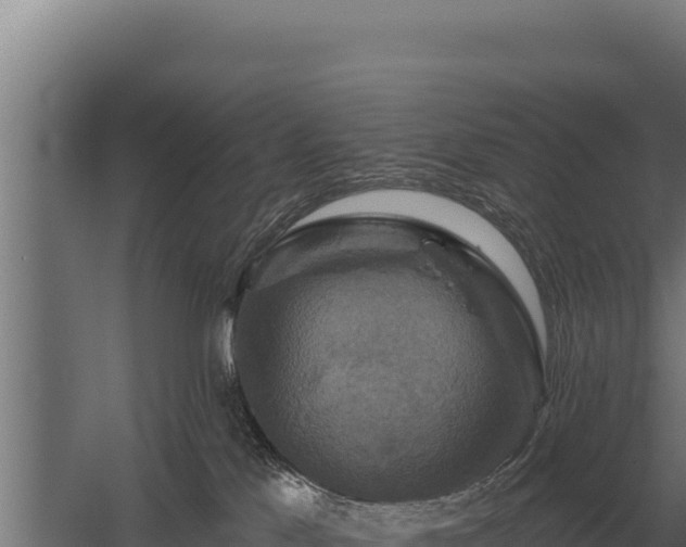 X0000059840041200510281836