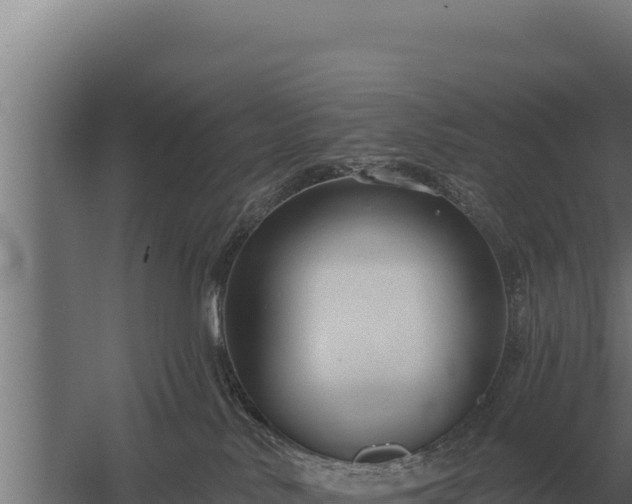 X0000059840042200510281836