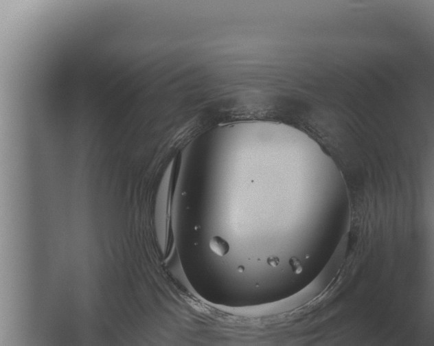 X0000059840045200510281836