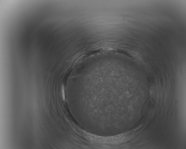 X0000059840046200510281836