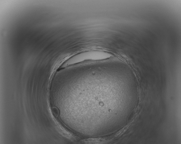 X0000059840049200510281835