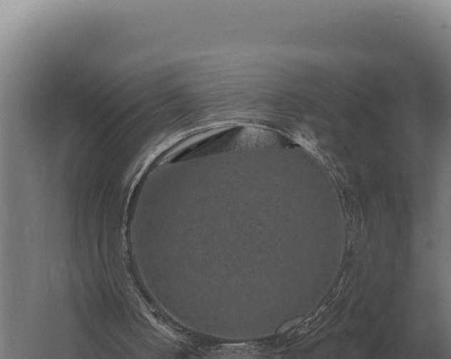 X0000059840050200510281835