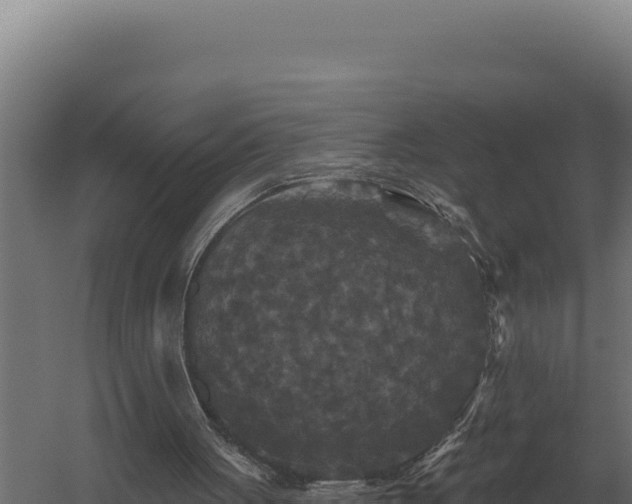 X0000059840051200510281835