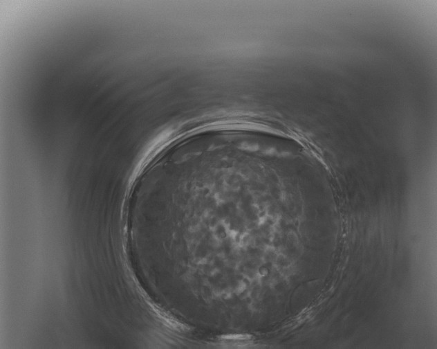 X0000059840053200510281835