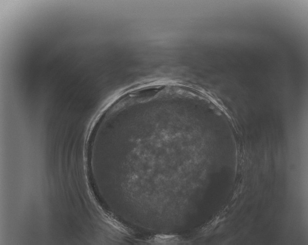 X0000059840055200510281835