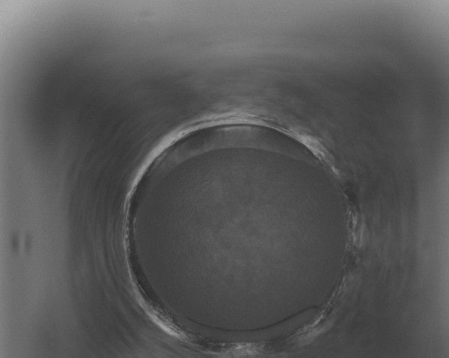 X0000059840056200510281835