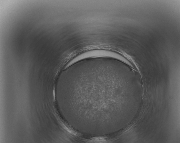 X0000059840061200510281835