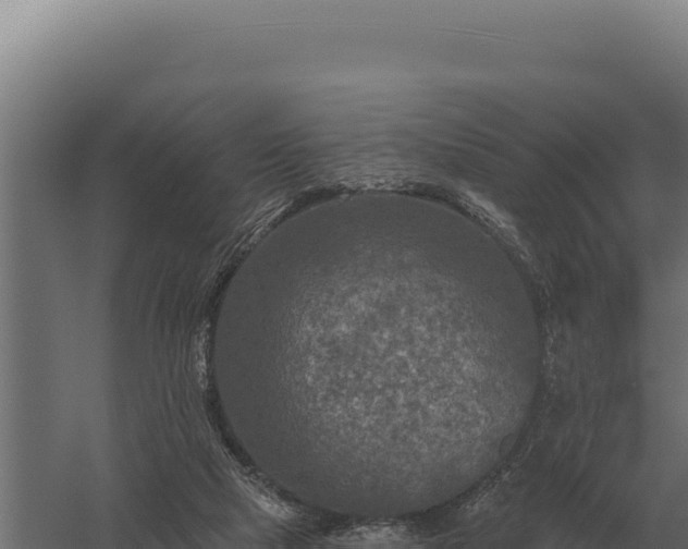 X0000059840065200510281835