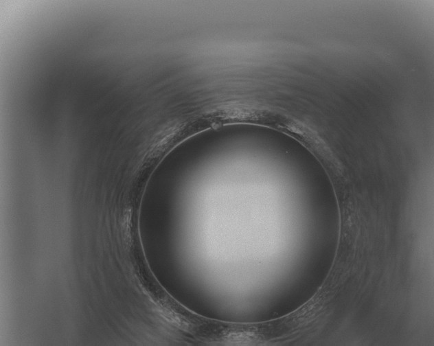 X0000059840066200510281835