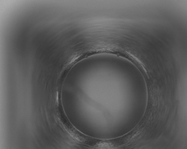 X0000059840067200510281835