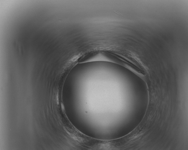 X0000059840068200510281835