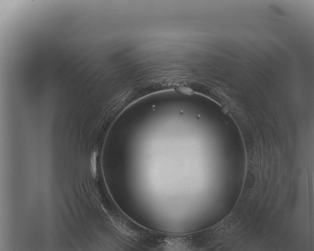 X0000059840070200510281835