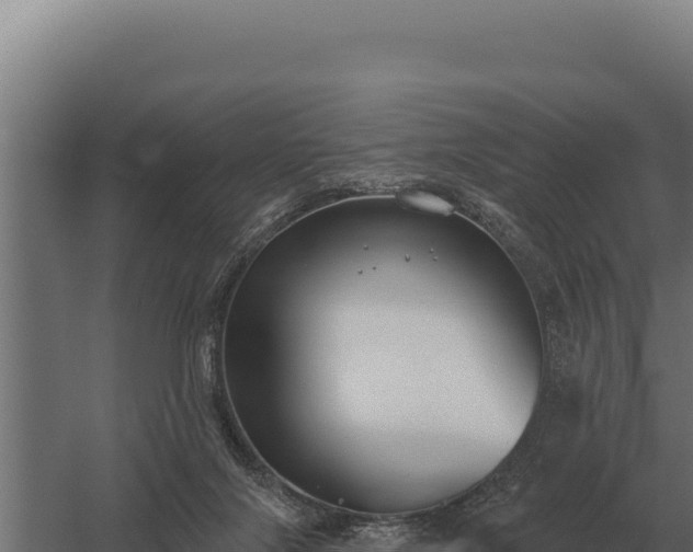 X0000059840071200510281835