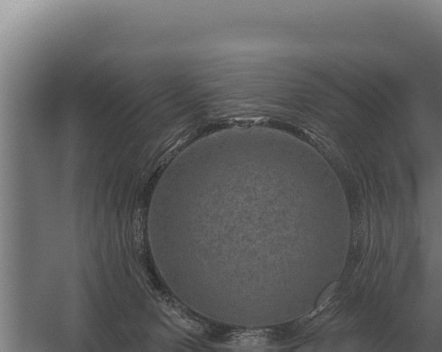 X0000059840078200510281835