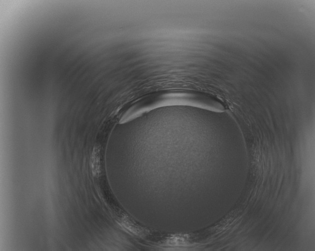 X0000059840080200510281835