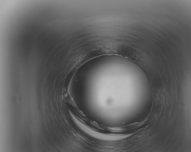 X0000059840084200510281835