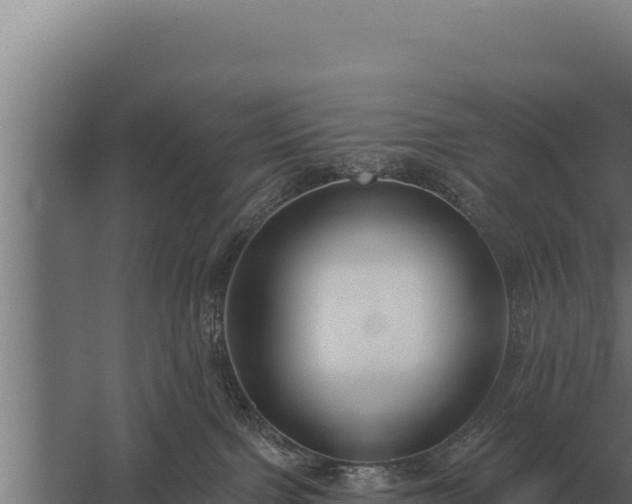 X0000059840091200510281836