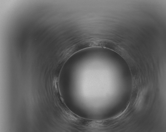 X0000059840094200510281836