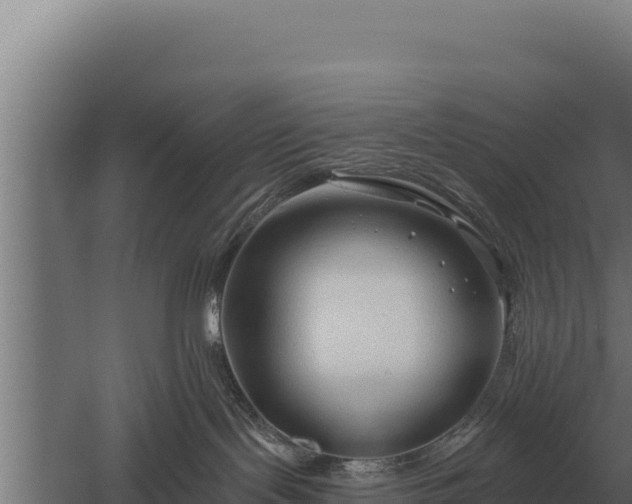 X0000059840095200510281836